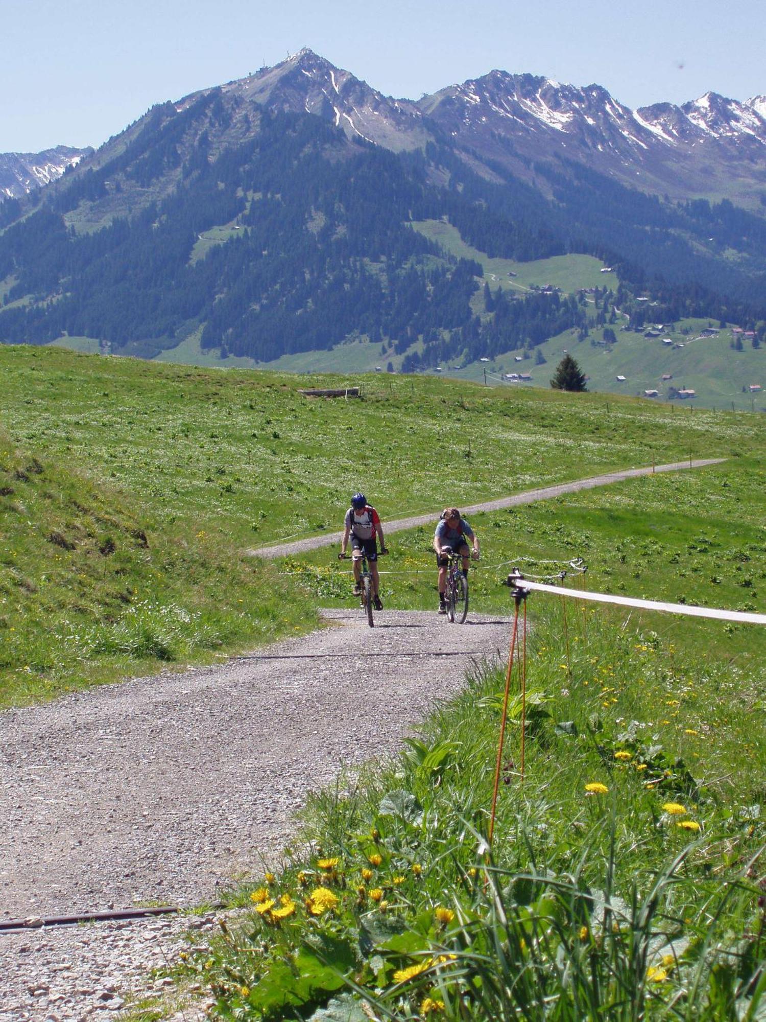 Gaestehaus Zur Faerbe Apartments Oberstdorf Exterior foto